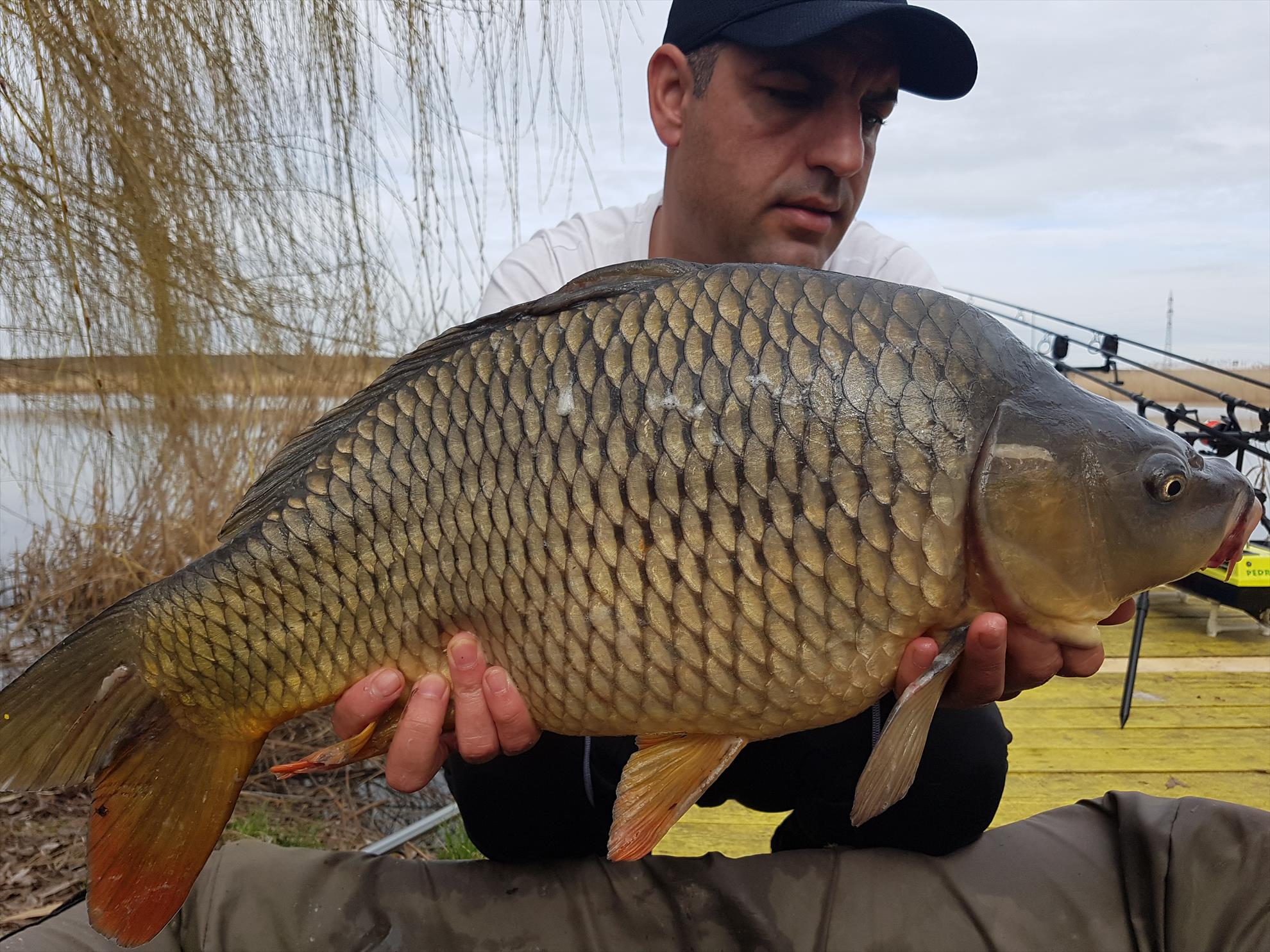 2018 - 20180316145544.jpg